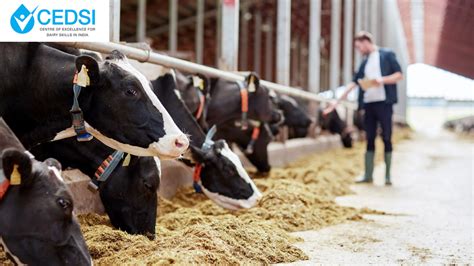 organic dairy farming production method benefits scope cedsi