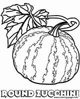 Zucchini Topcoloringpages sketch template