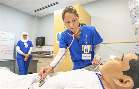 nursing student guidelines  students complete clinical