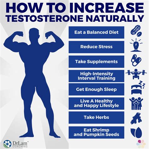 how to increase testosterone levels in body miradore mdm software