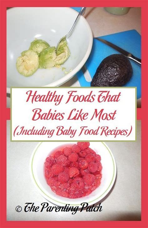 healthy foods  babies   infographic  baby food recipes