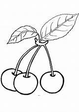 Coloring Pages Bunch Kids Cherries sketch template