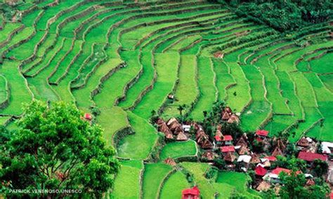 Lonely Planet Under Fire For Saying Chinese Built Banaue