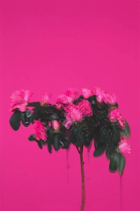 Pink Aesthetic Background Design : Aesthetic Pink Desktop Wallpapers