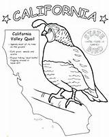 Flag California Drawing Paintingvalley sketch template