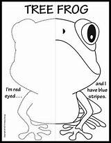 Coloring Amphibians Pages Reptiles Symmetry Activity sketch template