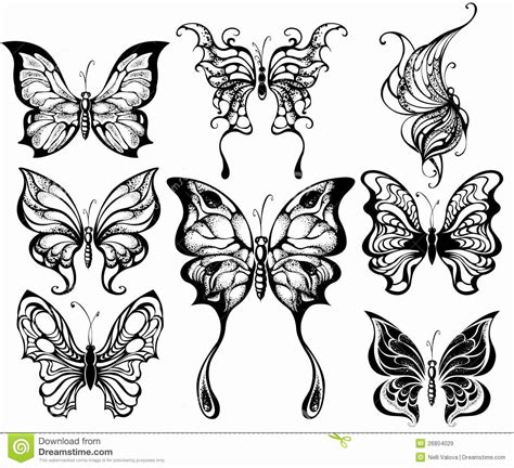 butterflies coloring pages  adults beautiful related image dezigos