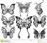 Papillons Silhouettes Exotic Papillon Adulte Feeriques Mariposas Schattenbilder Exotischen Silueta Gratuit Printemps Féeriques sketch template