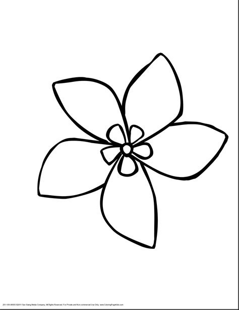 cool flower drawing  getdrawings