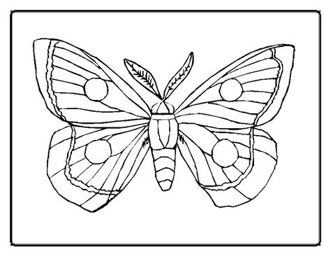 hungry caterpillar printables coloring pages  getdrawings