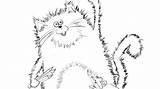 Coloring Pages Cat Splat Innovation sketch template
