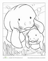 Coloring Manatee Pages Sheets Worksheets Kids Worksheet Colouring Color Manatees Education Animal Animals Books Sea Cow Florida Craft Baby Choose sketch template