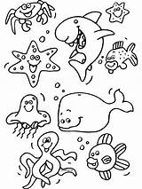 Zeedieren Kleurplaat Dieren Malvorlagen Meereswelt Onderwaterwereld Oceaan Haai Zee Vissen Coloring Unterwassertiere Malvorlage Ozean Inktvis Kwal Milou Juf Colorare Grappig sketch template