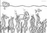 Unterwasserwelt Ausmalbild Kinderbilder Unterwasser Shaya Fur sketch template