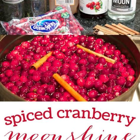 Spiced Cranberry Moonshine Recipe Yummly Recipe Moonshine Recipes