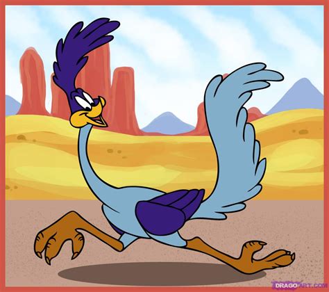 road runner   road runner png images  cliparts