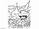 Sharks Kidsfree sketch template