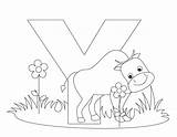 Coloring Alphabet Letter Pages Animal Printable Yak Worksheets Abc Kids Letters Inchworm Preschool Print Color Animals Cute Stock Royalty Fastseoguru sketch template