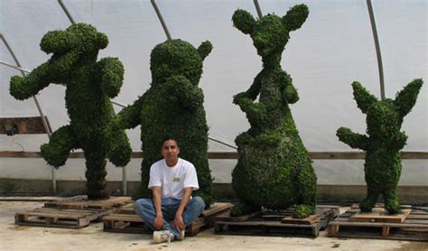 topiary groups