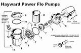 Hayward Flo Parts Wiring Schematron Waterway Troubleshooting Leak Vacuum Sending Duramax sketch template