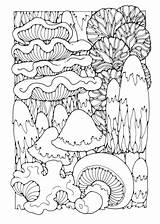 Coloring Mushrooms Large Printable Pages sketch template