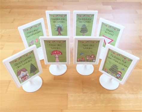wald lapbook im sachunterricht