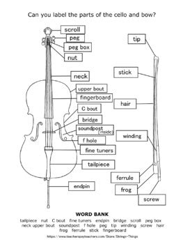 parts   cello package  strings  tpt
