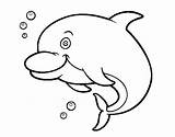 River Amazon Coloring Dolphin Coloringcrew Animals sketch template