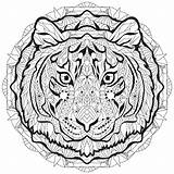 Tigre Zentangle Tête Libres Coloration Dessinée Décorative Vectorielle sketch template