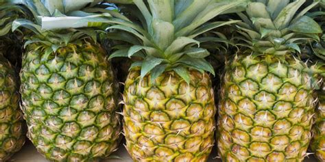 7 things you probably didn t know about pineapple huffpost