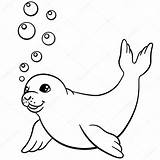 Foca Seal Phoque Colorare Disegni Bébé Cucciolo Kolorowanki Nuota Fototapeta Bellissimo Pagine Sveglie Coloritura Poche Nuotate Foka Petits Coloration Bains sketch template
