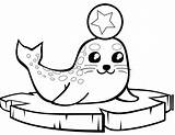 Phoque Banquise Robben Seals Animaux Imprimer Foca Mignon Ghiaccio Walrus Eisscholle Otters Supercoloring Floe Galapagos Piccolo sketch template