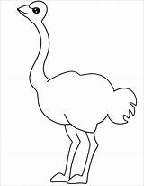 Ostrich Coloring4free Coloringbay sketch template