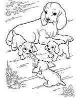 Coloring Pages Animal Their Mother Animals Babies Dog Farm Baby Puppies Puppy Playing Kids Her Play Printable Watching Print Getcolorings sketch template