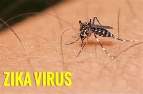 ocala post second case of zika in marion county neighborhoods not