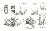 Paws sketch template