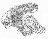 Xenomorph Aliens Paintingvalley Colorings sketch template