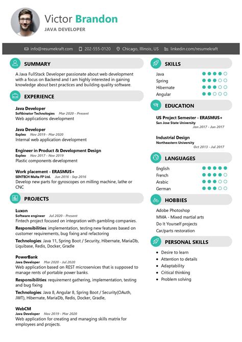 infographic resume  programmer