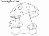 Mushrooms Drawing Drawings Outline Alice Wonderland Drawingforall Bolets Champignon Hongos Tekeningen Setas sketch template