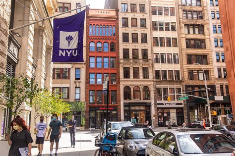york university abound grad school