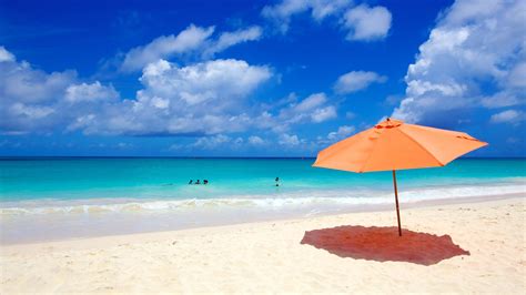 find and book the best hotels in barbados for 2020 expedia