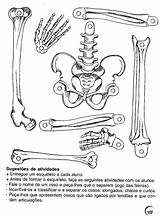 Humano Esqueleto Atividades Ossos Atividade Fundamental Esquelético Ensino Anatomia Onlinecursosgratuitos Artigo sketch template