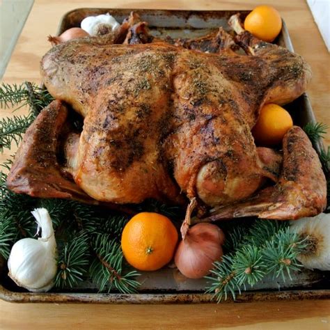 alton brown s butterflied dry brined turkey a blogger s review dry