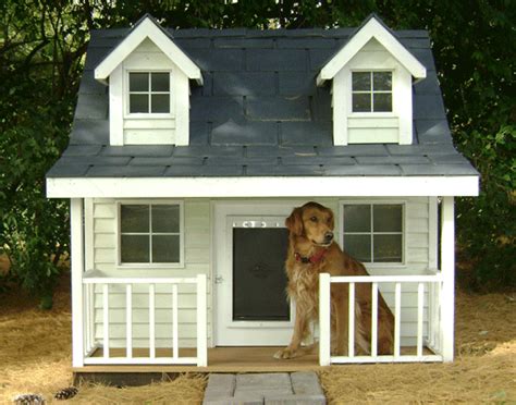 pin em   dog house