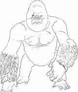 Kong King Coloring Pages Designlooter Drawings 13kb sketch template