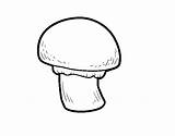Mushroom Coloring Coloringcrew sketch template