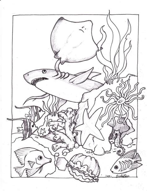 water animals coloring pages  getdrawings