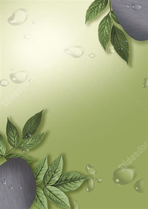 botanical stone  green simplified page border background word