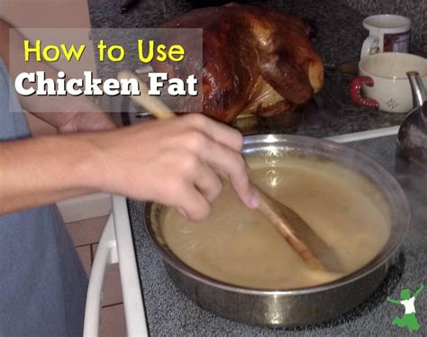 healthfully  chicken fat  cooking healthy home economist