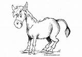 Donkey Coloring Burro Coloriage Para Dibujo Colorear Pages âne Large Printable Edupics Comments sketch template